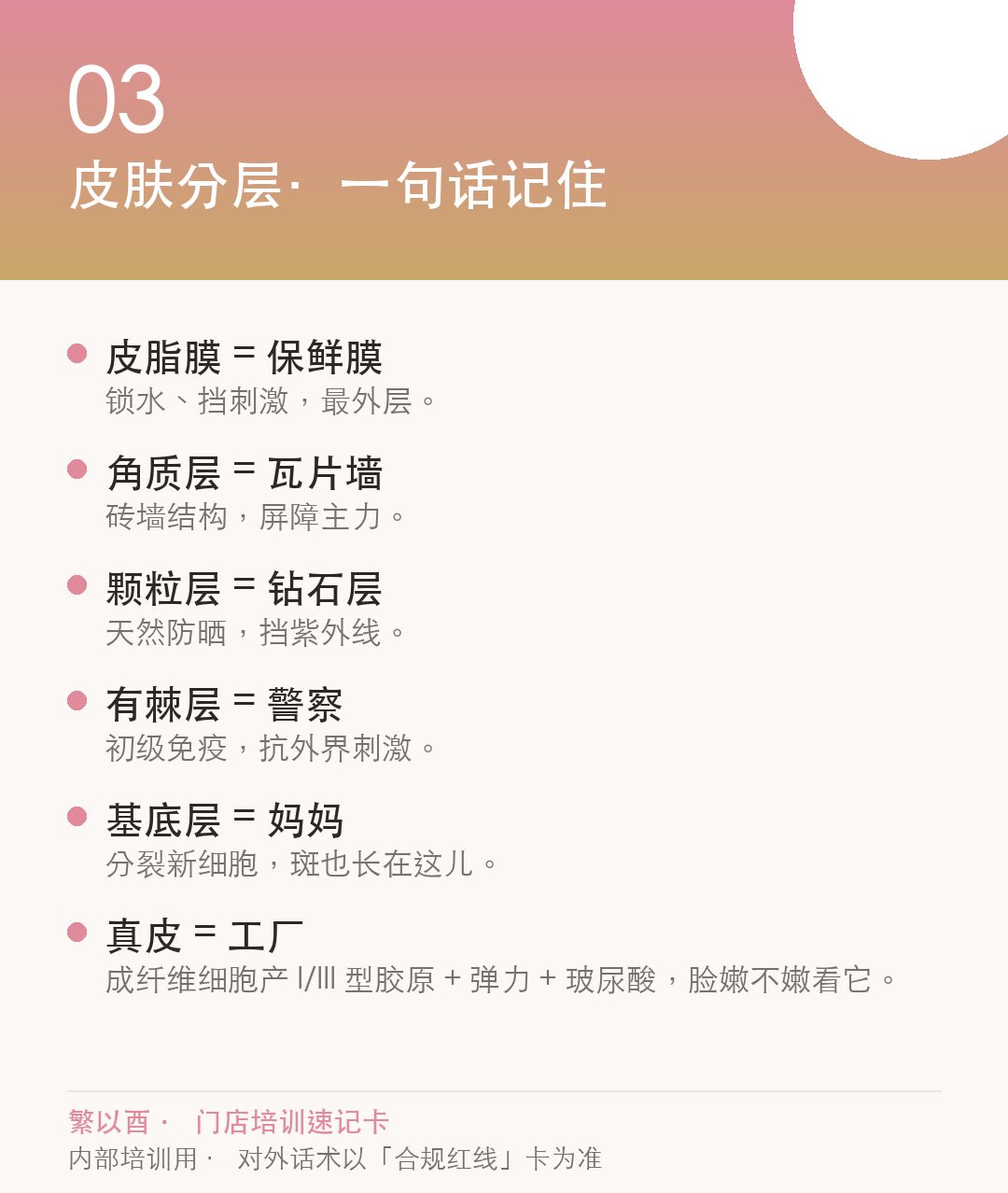皮肤分层